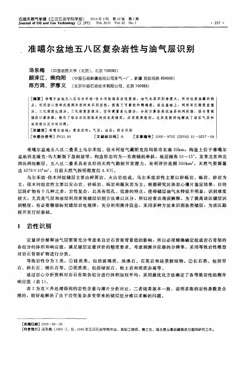 准噶尔盆地五八区复杂岩性与油气层识别