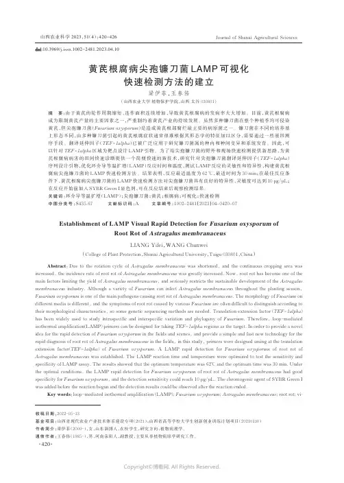 黄芪根腐病尖孢镰刀菌LAMP可视化快速检测方法的建立
