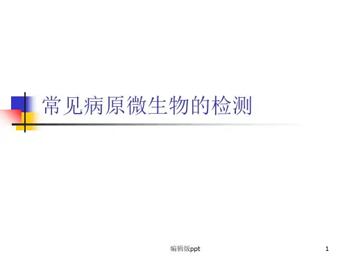 常见病原微生物的检测ppt课件