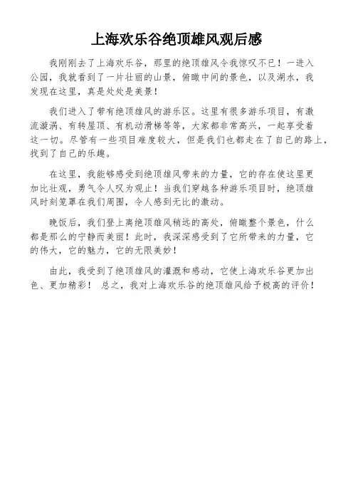 上海欢乐谷绝顶雄风观后感