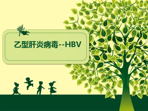 hbv病毒