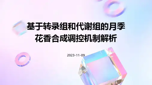 基于转录组和代谢组的月季花香合成调控机制解析