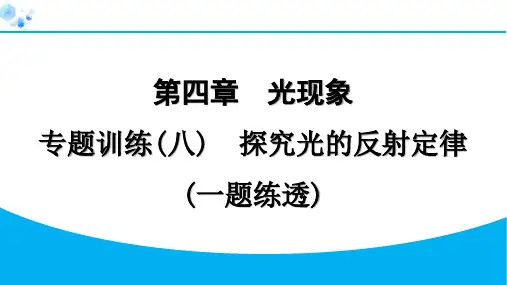 八年级上册物理【课后练】专题训练(八) 探究光的反射定律(一题练透)