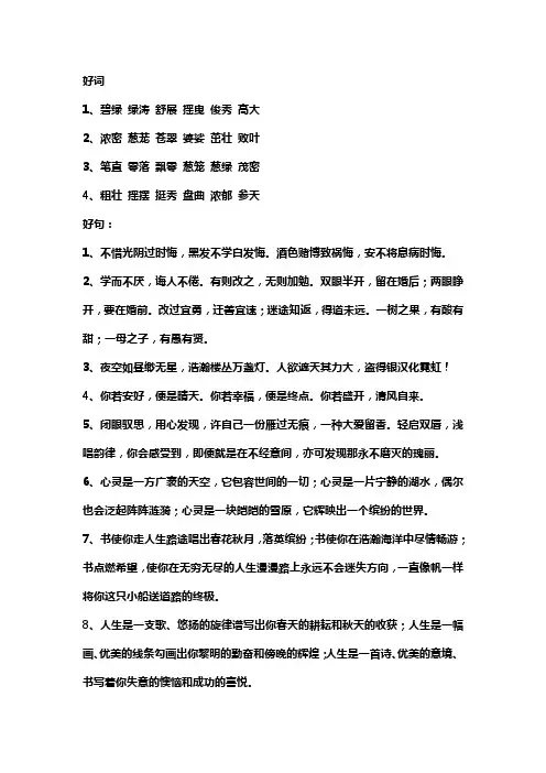 高中好词好句摘抄大全优美