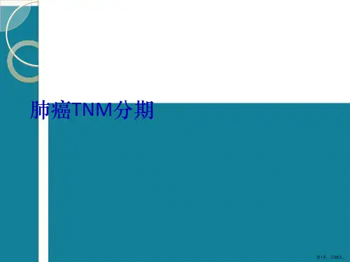 优选肺癌TNM分期Ppt