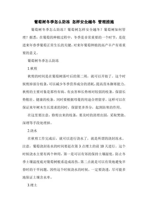 葡萄树冬季怎么防冻 怎样安全越冬 管理措施.doc