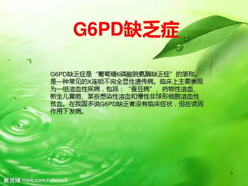 基因病的遗传咨询PPT课件