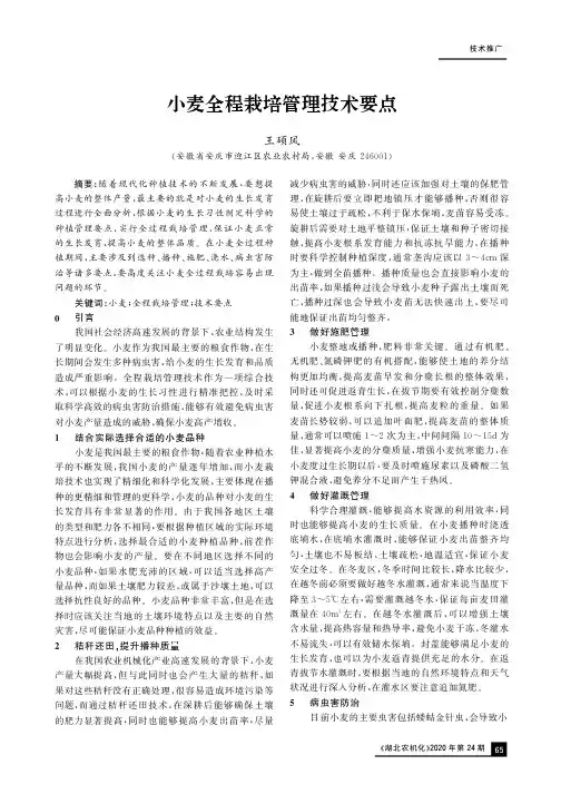 小麦全程栽培管理技术要点