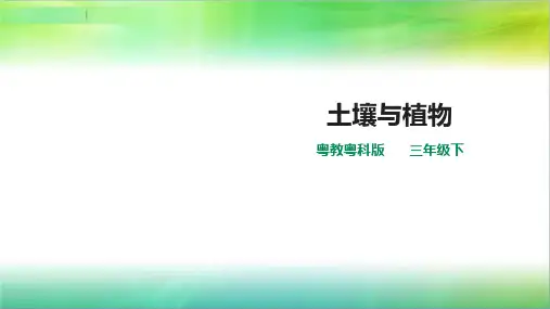 粤教粤科版小学科学新版三年级下册科学第一单元第3课时《土壤与植物》课件