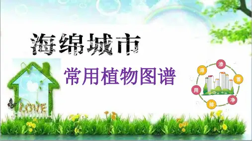 海绵城市常见植物图谱