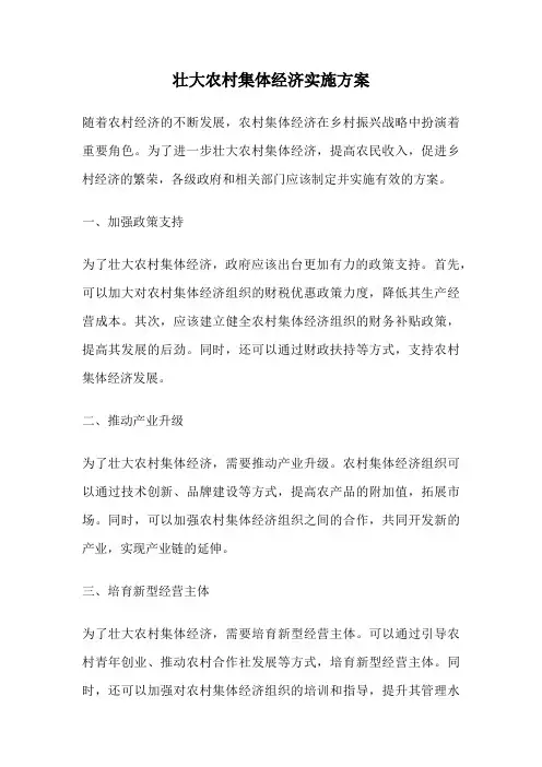 壮大农村集体经济实施方案