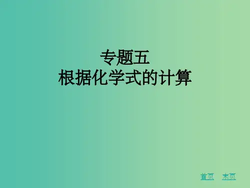 中考化学专题复习五 根据化学式的计算 新人教版