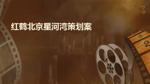 红鹤北京星河湾策划案