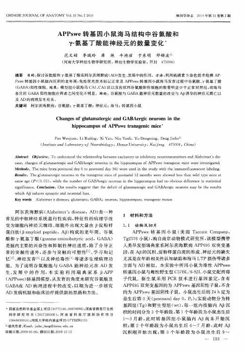 APPswe转基因小鼠海马结构中谷氨酸和γ-氨基丁酸能神经元的数量变化