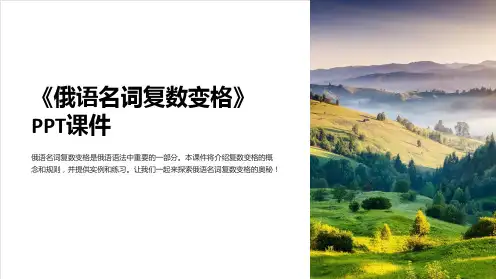 《俄语名词复数变格》课件