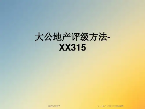 大公地产评级方法XX315