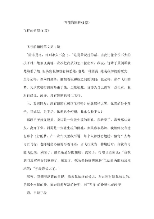 飞翔的翅膀(5篇)