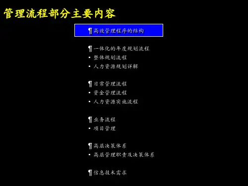 麦肯锡管理流程部分主要内容.ppt