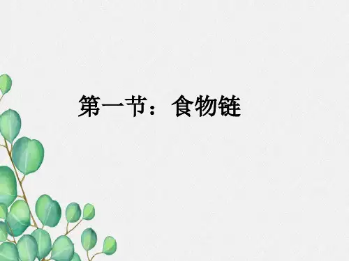 (新)苏科版生物七上《食物链》公开课(课件)8
