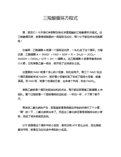 三羧酸循环方程式