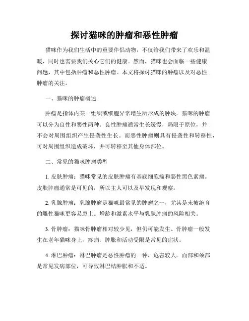 探讨猫咪的肿瘤和恶性肿瘤