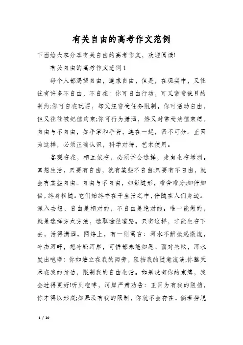 有关自由的高考作文范例
