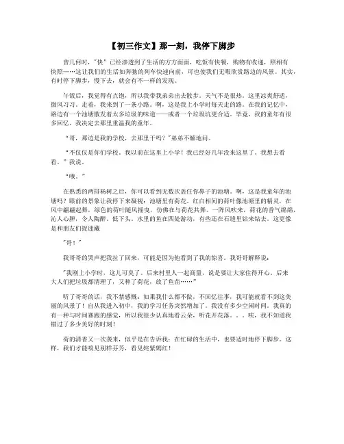 【初三作文】那一刻,我停下脚步
