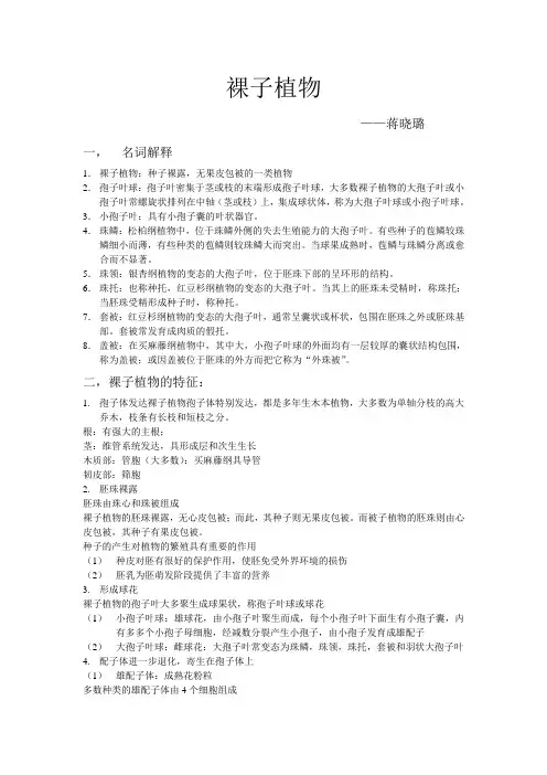 裸子植物