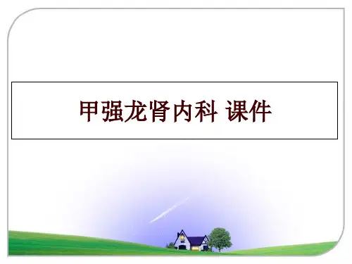 甲强龙肾内科 课件ppt课件