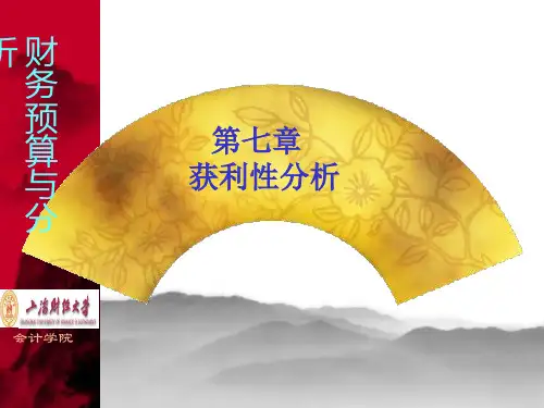第七章获利性分析