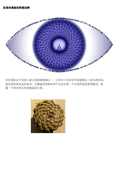 松果体奥秘的终极诠释