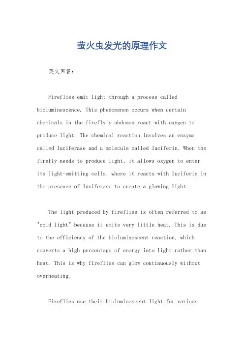 萤火虫发光的原理作文