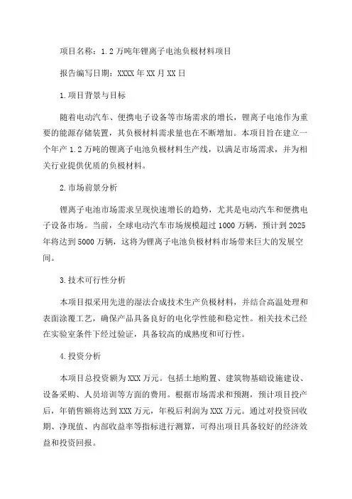 12万吨年锂离子电池负极材料项目可行性研究报告