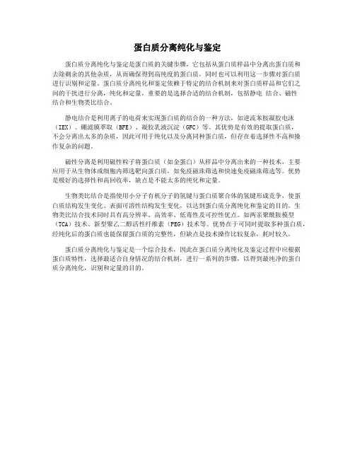 蛋白质分离纯化与鉴定