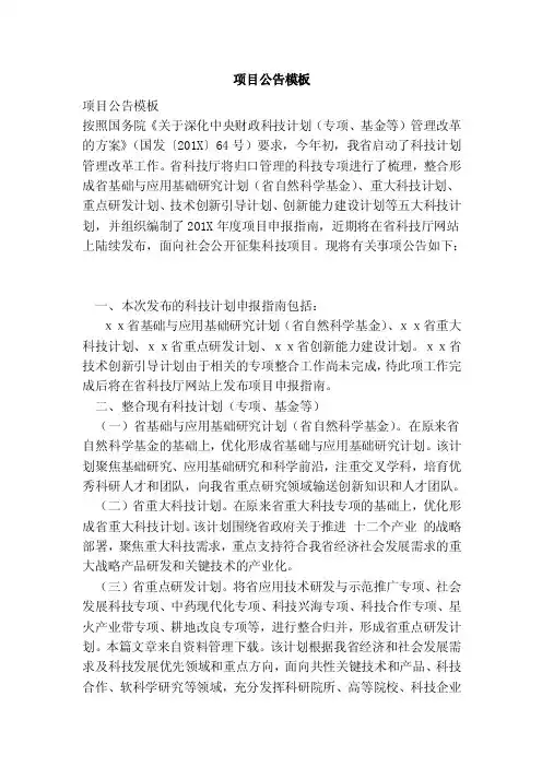 项目公告模板