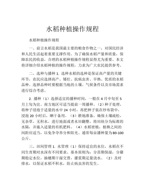 水稻种植操作规程