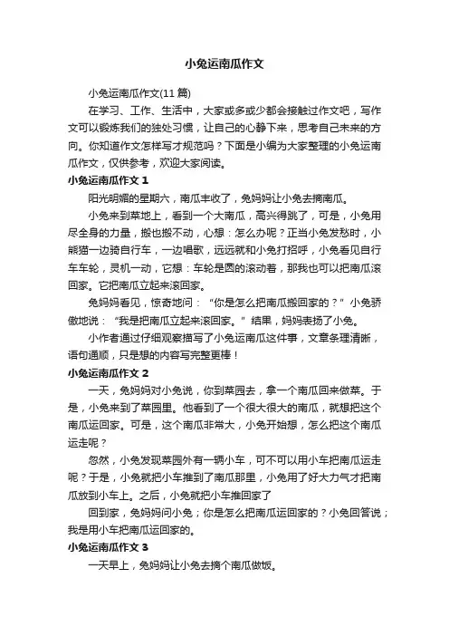 小兔运南瓜作文（11篇）