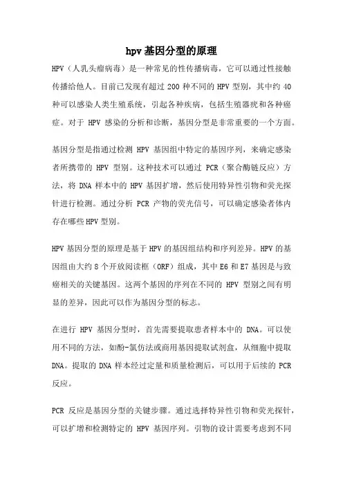 hpv基因分型的原理