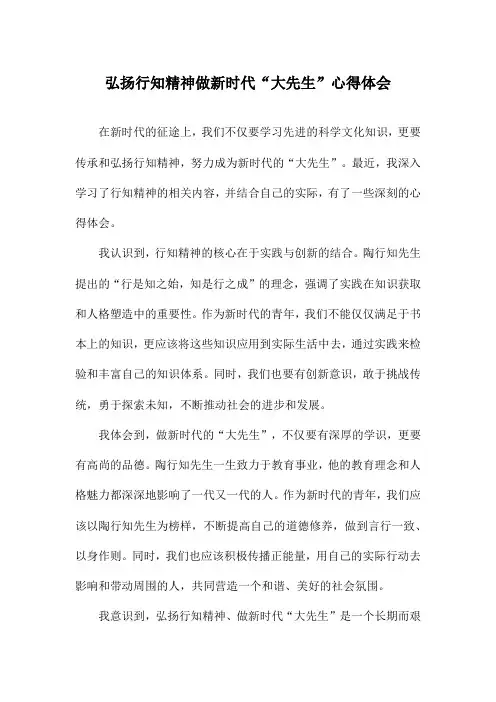 弘扬行知精神做新时代“大先生”心得体会