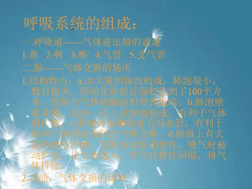 PPT教学课件呼吸系统的组成