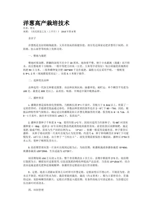 洋葱高产栽培技术
