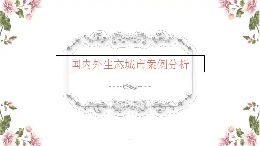 国内外生态城市案例分析