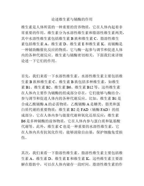 论述维生素与辅酶的作用