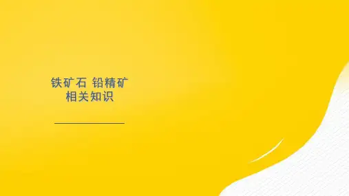 铁矿石铅精矿相关知识优秀ppt文档