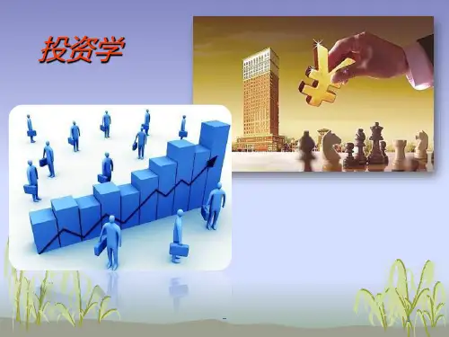 投资学第一讲-投资学概述PPT课件
