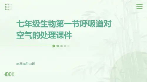 七年级生物第一节呼吸道对空气的处理课件