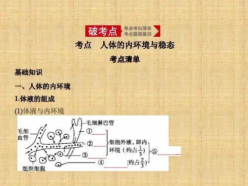 2020年高考山东版高考生物     专题16 人体的内环境与稳态
