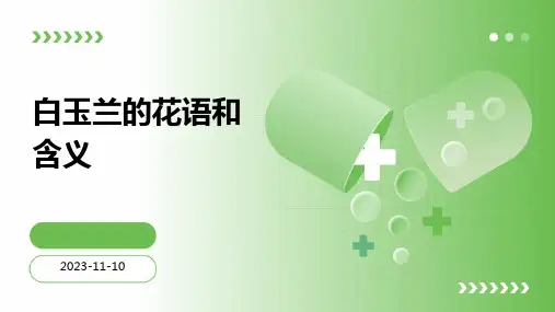白玉兰花语和含义