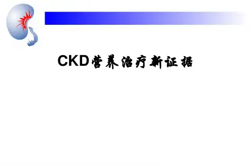 CKD营养治疗新证据