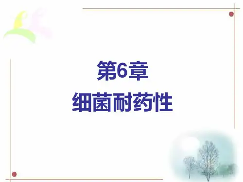 细菌耐药性